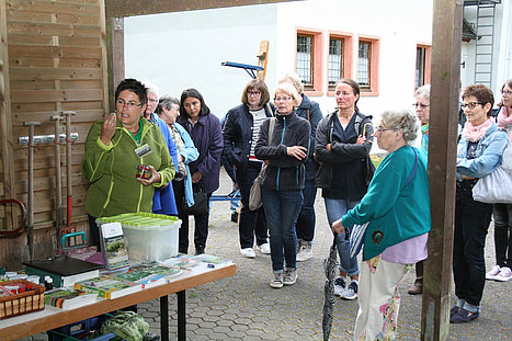 Grafik der Waldbreitbacher Franziskanerinnen BMVA St. Marienhaus