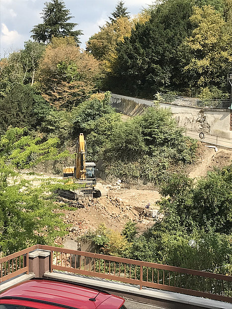 Grafik der Waldbreitbacher Franziskanerinnen BMVA St. Marienhaus