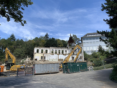 Grafik der Waldbreitbacher Franziskanerinnen BMVA St. Marienhaus