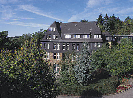 Grafik der Waldbreitbacher Franziskanerinnen BMVA St. Marienhaus