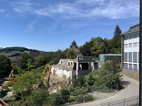 Grafik der Waldbreitbacher Franziskanerinnen BMVA St. Marienhaus