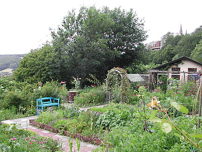 Grafik der Waldbreitbacher Franziskanerinnen BMVA St. Marienhaus