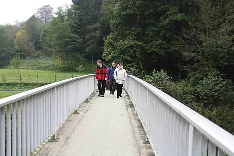 Grafik der Waldbreitbacher Franziskanerinnen BMVA St. Marienhaus